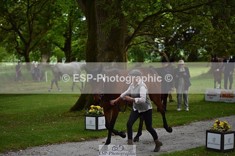 240522-150610-00084 - 305-SWHISKEY-Jeanette_Brakewell