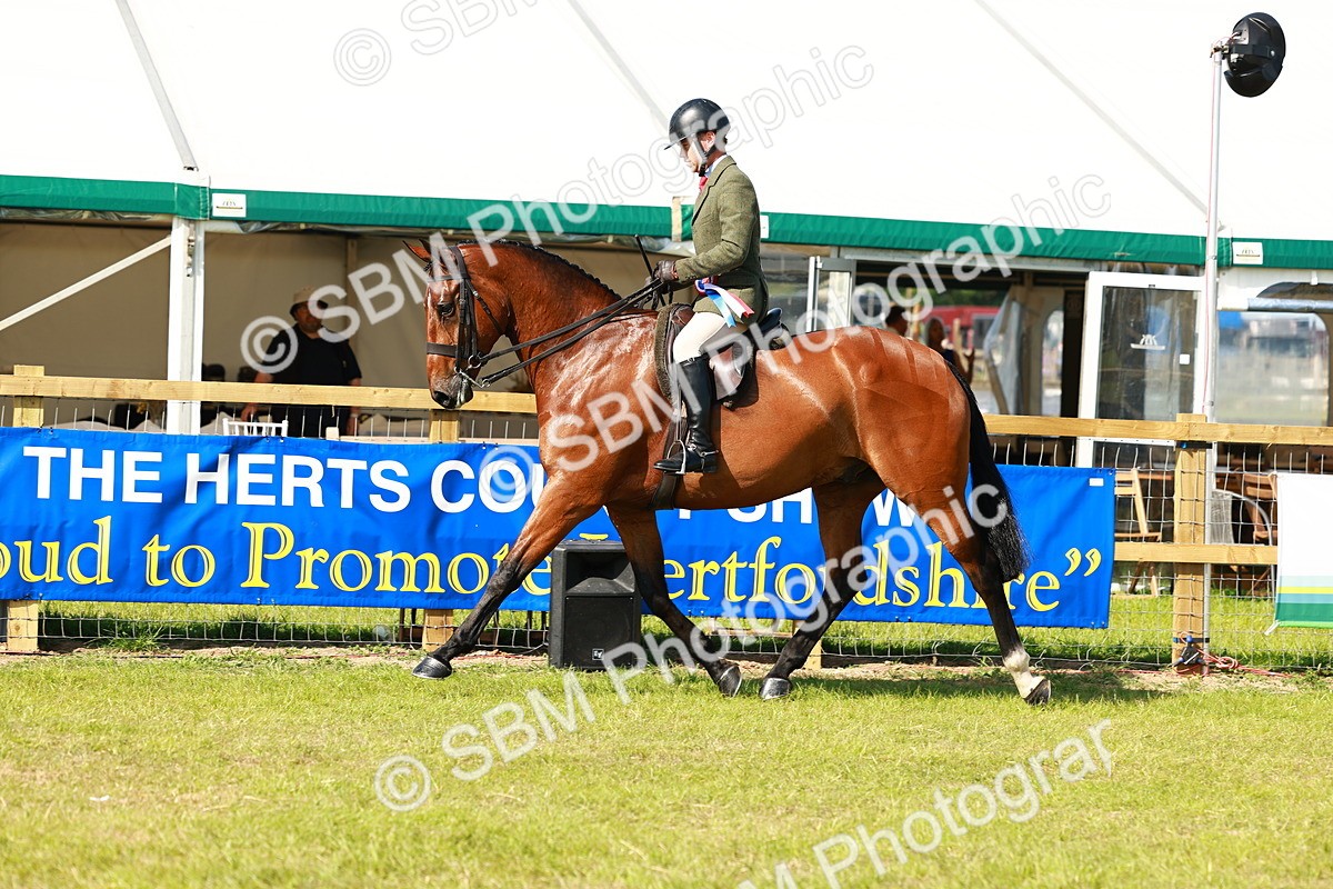 SBM_11996 - Class 66-69 - RIHS Ridden Hunters Inc Small Hunter