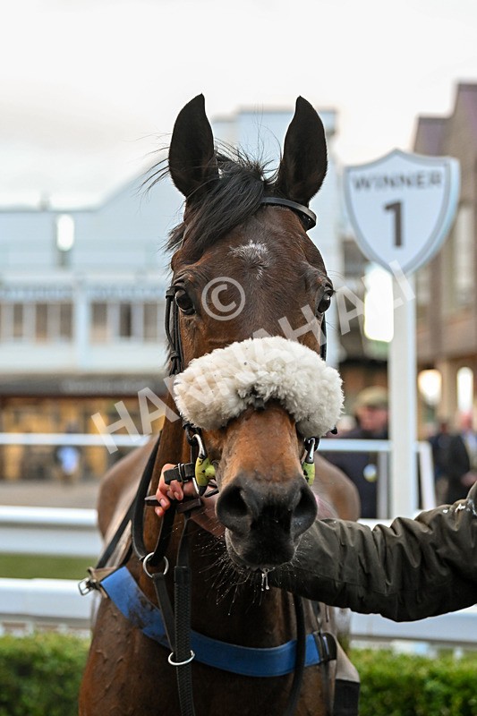 020224-Race 7-Letthedustsettle-9074 - Race 7