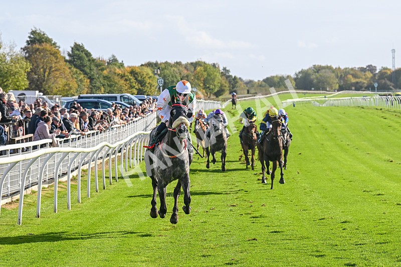 191024-Race 2-Morandi Second-4043 - Race 2