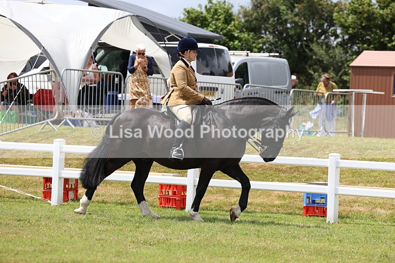 3E7A1812 - Class 10: Open Cob