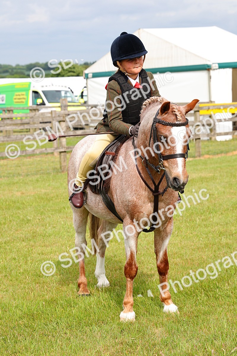 SBM_09672 - Class 44-45 - LIHS BSPS Open Nursery and Cradle Stakes