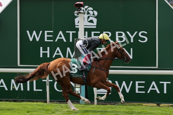 yr20082021r2-45 - Race 2 2.25pm Weatherbys Hamilton Lonsdale Cup (British Champion Series race)