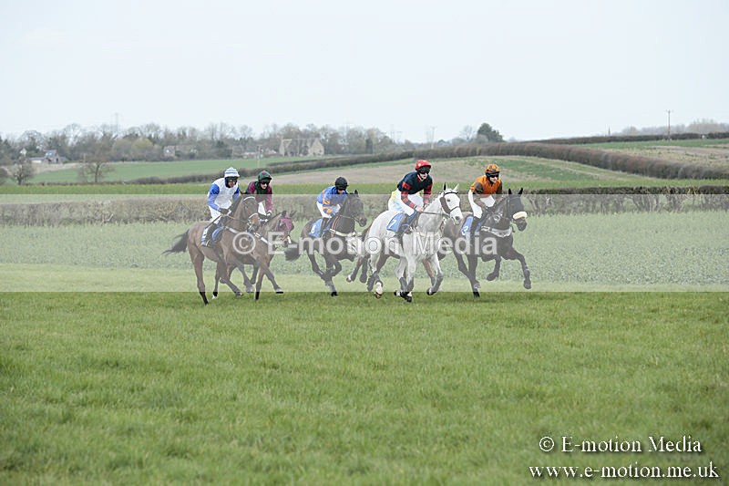 PtP 230319 78 - VWH Hunt Siddington Point-to-Point Racing 23/03/19