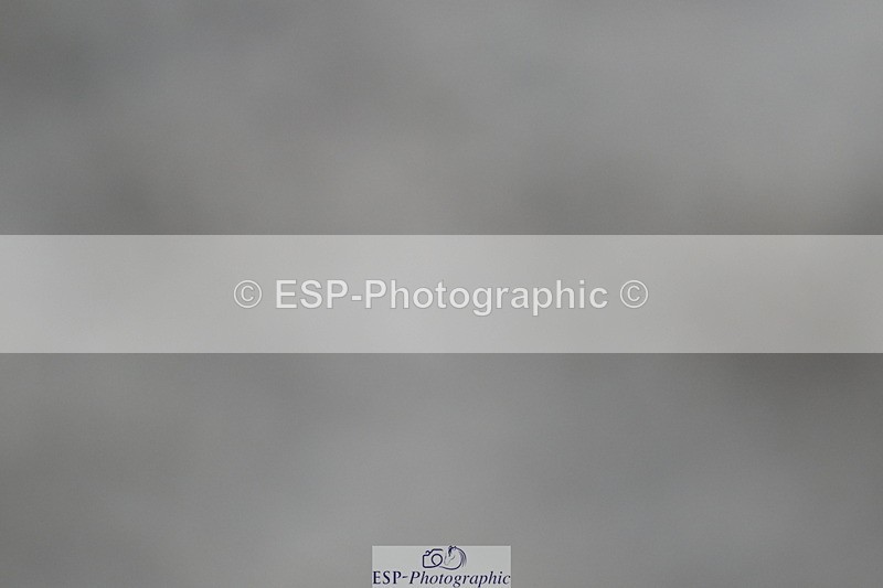 240611A-194131-01432 - 50cm