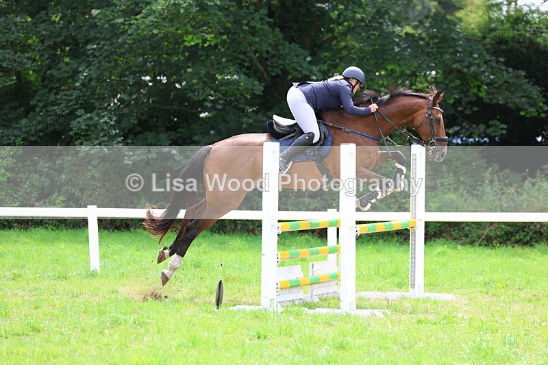 3E7A7334 - Class 5: Senior British Novice/90cm open