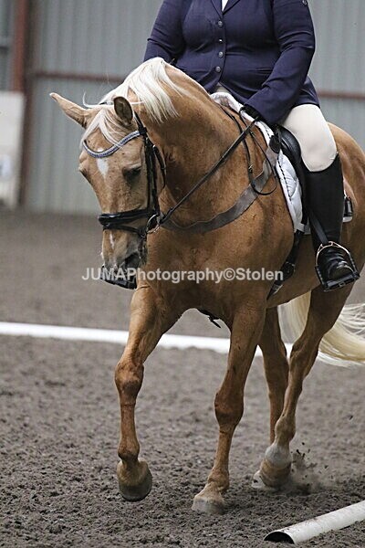 SIAL5531 - CAbin Dressage 5th july 2025