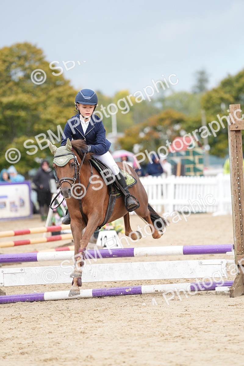 SBM_20751 - J49 - Open 50cm