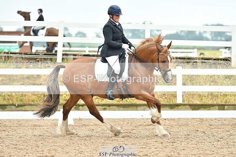 230708A-135355-02863 - Elementary 43