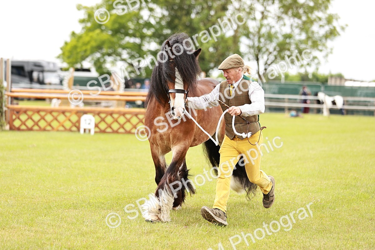 SBM_06048 - Class 39-41 TGCA In Hand and Ridden