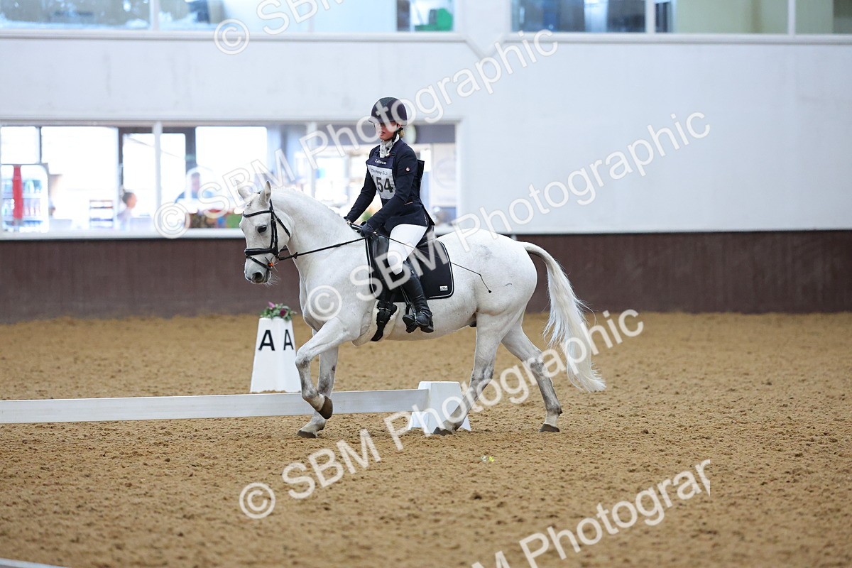 SBM_004168 - Intermediate