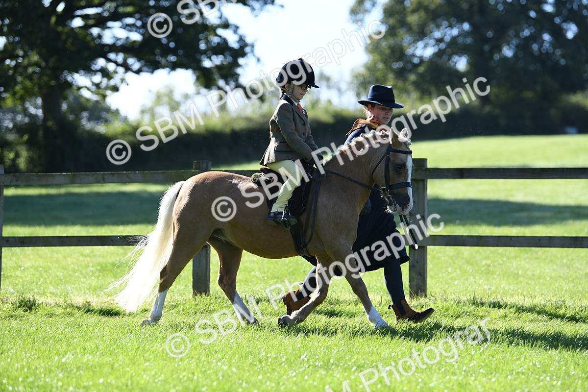 SBM_36817 - S18 - Novice & Newcomers Lead Rein Pony