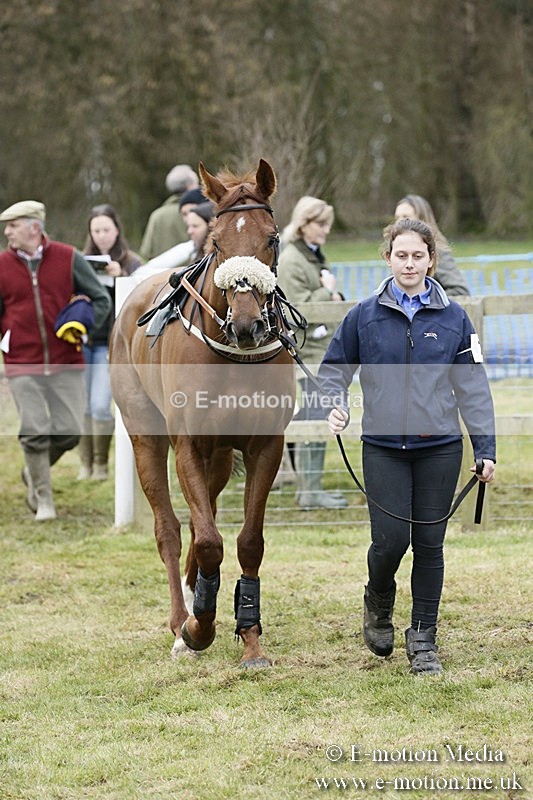 PtP 110318 181 - Hampshire Hunt Point-to-Point Hackwood Park 11/03/18