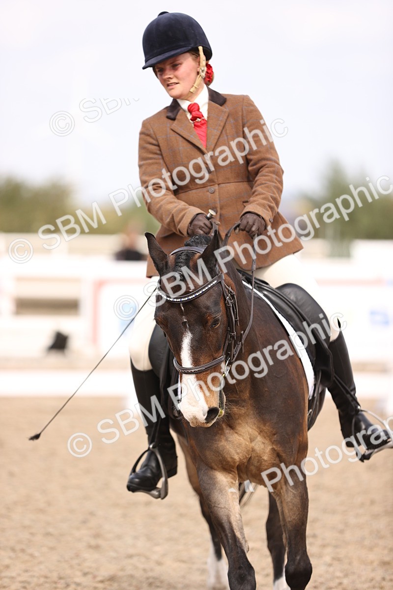 SBM_06066 - Class 37 Novice 5