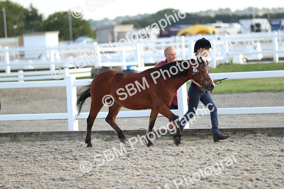 SBM_08927 - Class 29 IH Veteran Pony