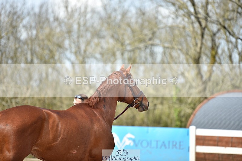 240417A-152042-00835 - 3pm to 4pm