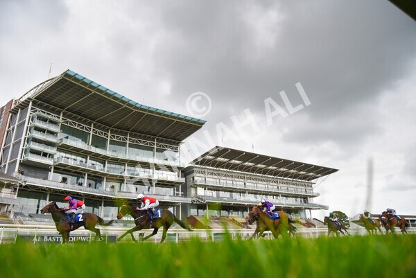 yr14052021r6-31 - Race 6 4.15pm Yorkshire Equine Practice Stakes