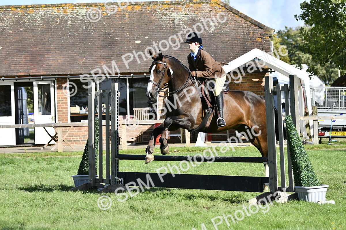 SBM_49998 - S34 - Novice & Newcomers Working Hunter