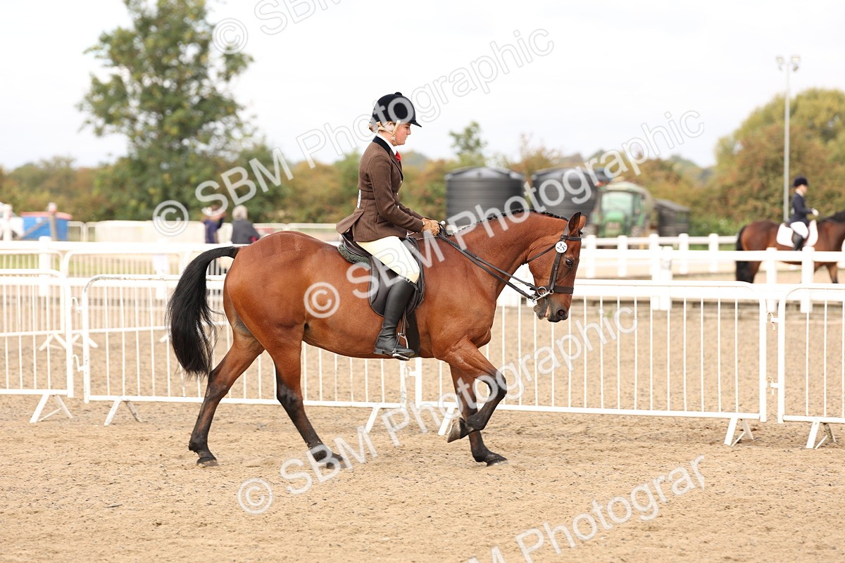 SBM_01547 - Class 52 - Ridden Veteran