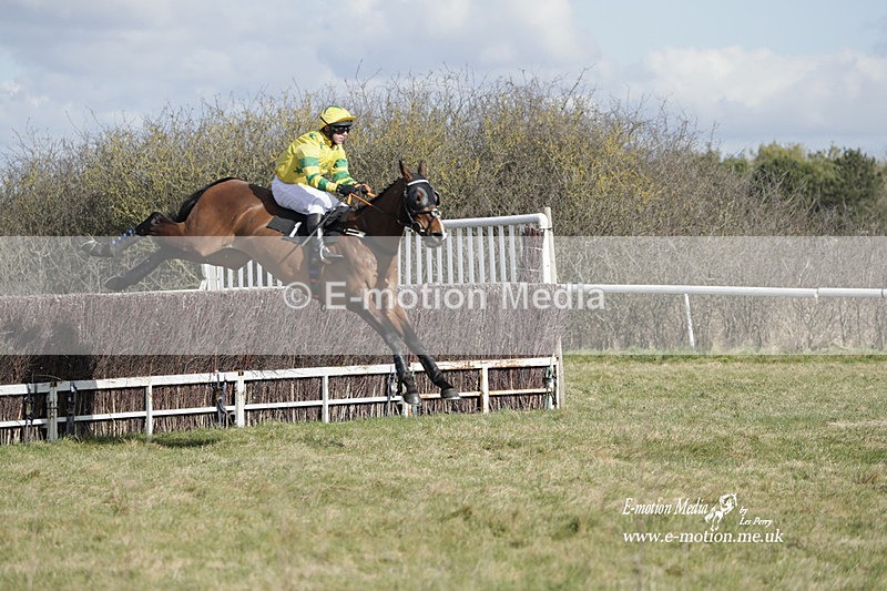 PtP 260223 272 - South & West Wilts Point-to-Point Larkhill 26/02/23