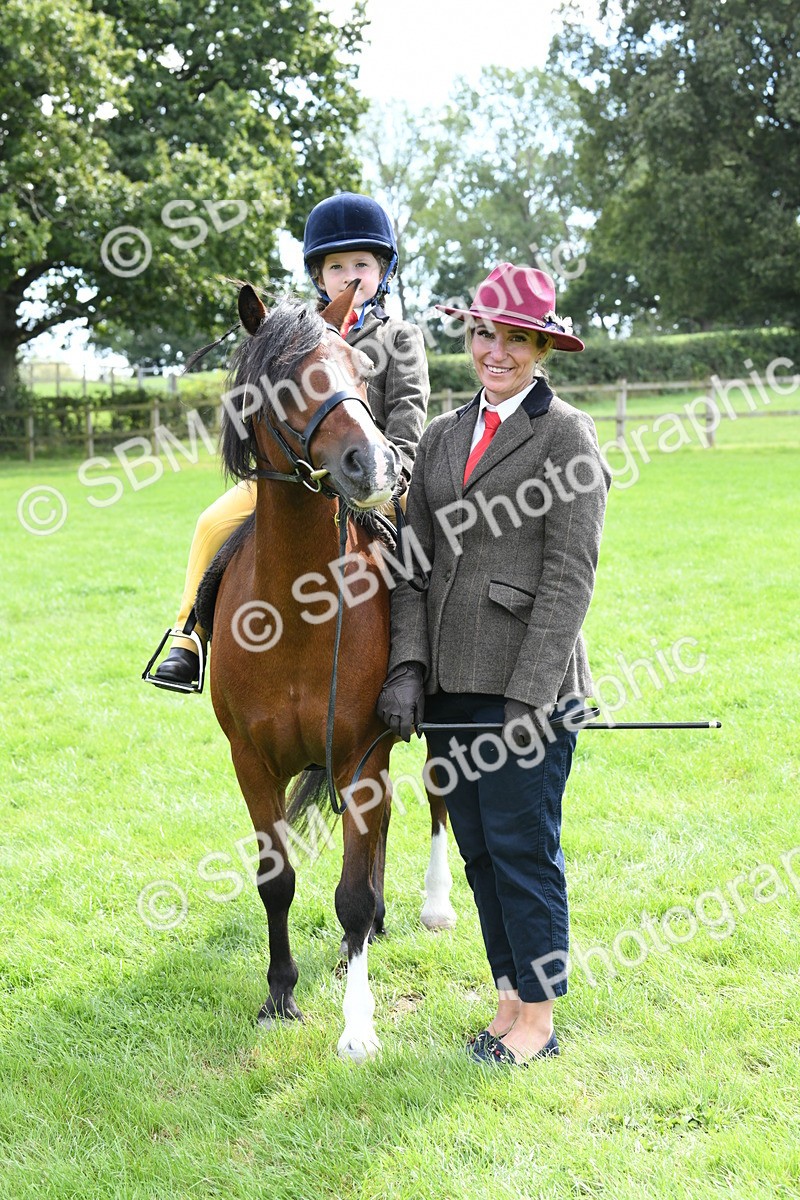 SBM_42581 - S20 - Lead Rein Mountain & Moorland Pony