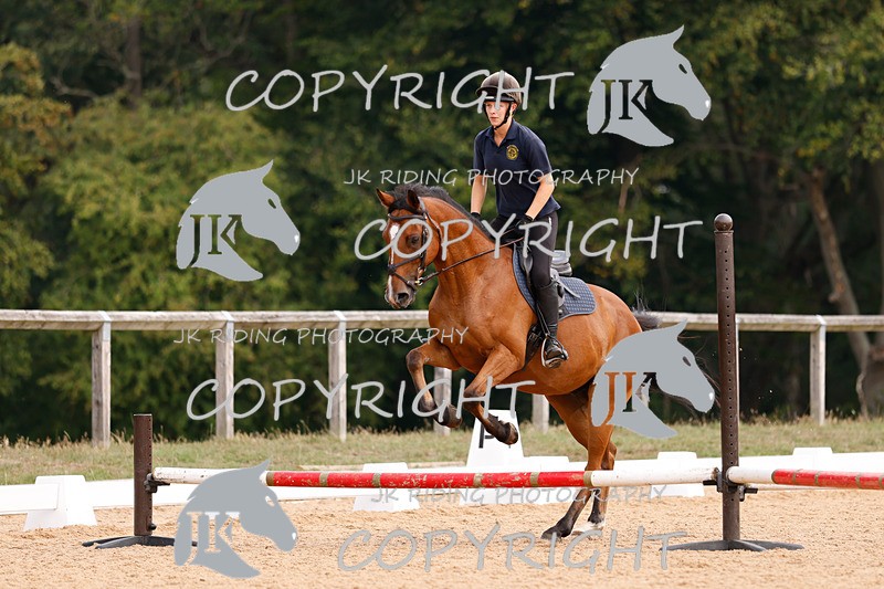 _R6A2688 - Dressage Morning