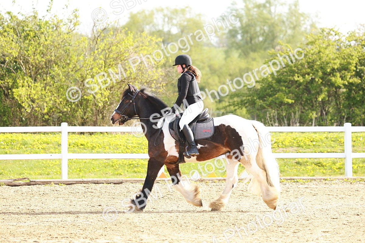 SBM_003165 - Class 2 - 50cm