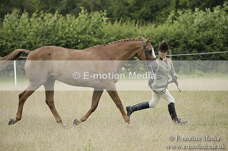 B230619-0770 - Bourne Valley Riding Club Summer Show 23/06/19