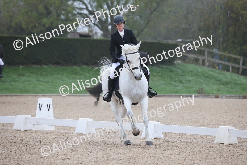 20251012-0401 - Class 3 - Novice 5