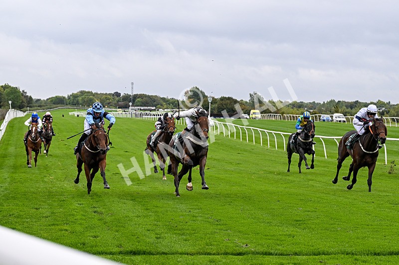 011025-Race 1-Edgewater Drive-0038 - Race 1