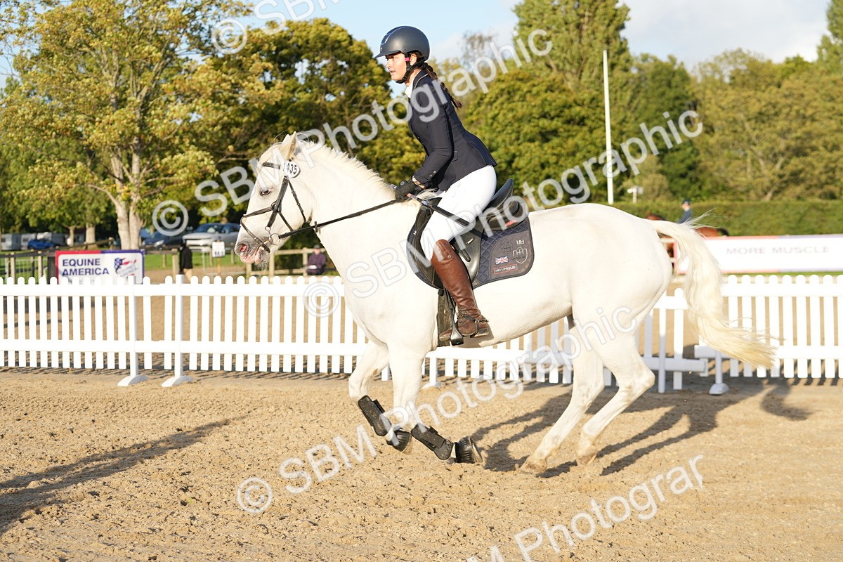 SBM_29552 - J44 - Horse & Hound Open 70cm