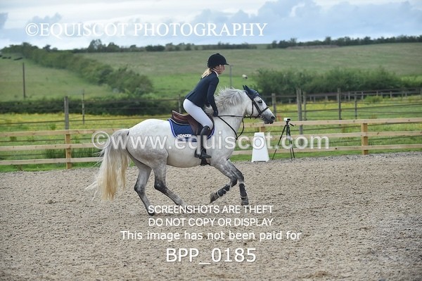 BPP_0185 - CLASS 2 Club/ Unaffiliated 80cms Open