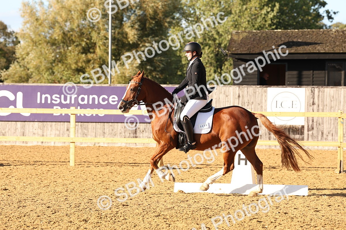 SBM_11683 - D9 - Small Tour Championship Prelim 3