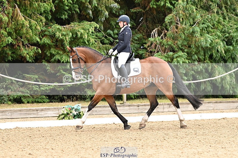 250808A-111152-00406 - 092-Bella.Balian-Beechwood.Joey