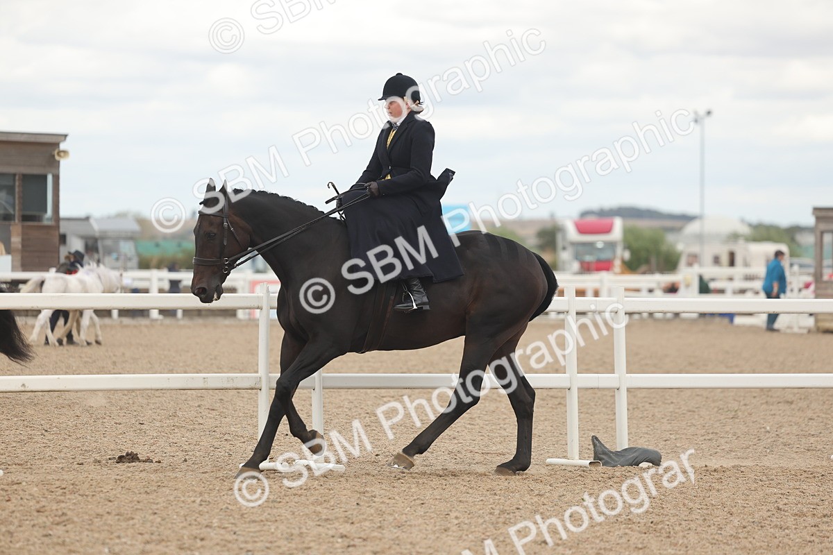 SBM_18146 - Class 315 - Best Horse-Rider Combination