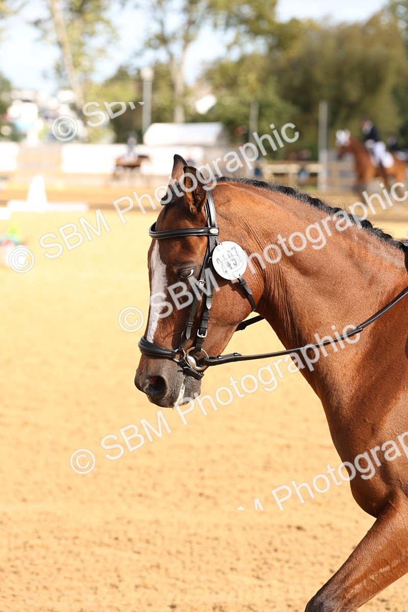 SBM_16124 - D10 - Small Tour Championship Prelim 2