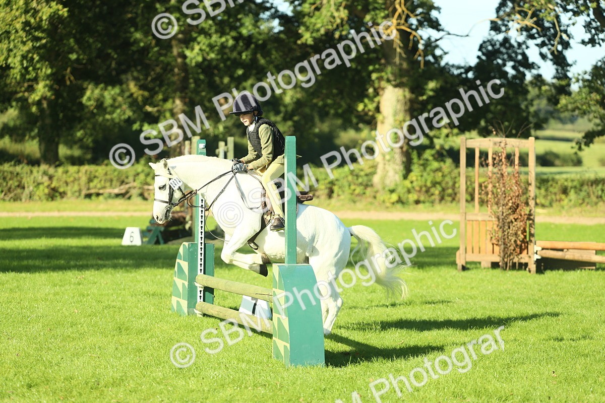 SBM_36383 - S29 - Novice & Newcomers Working Hunter Pony