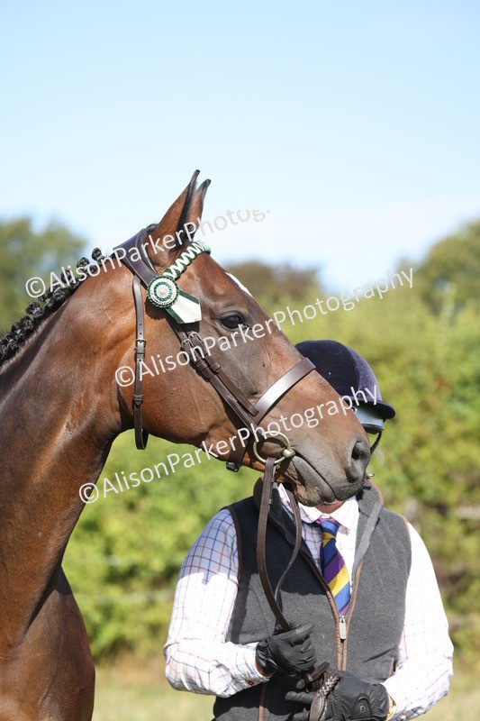 20260906-0698 - Class 22 - Ex Racehorse