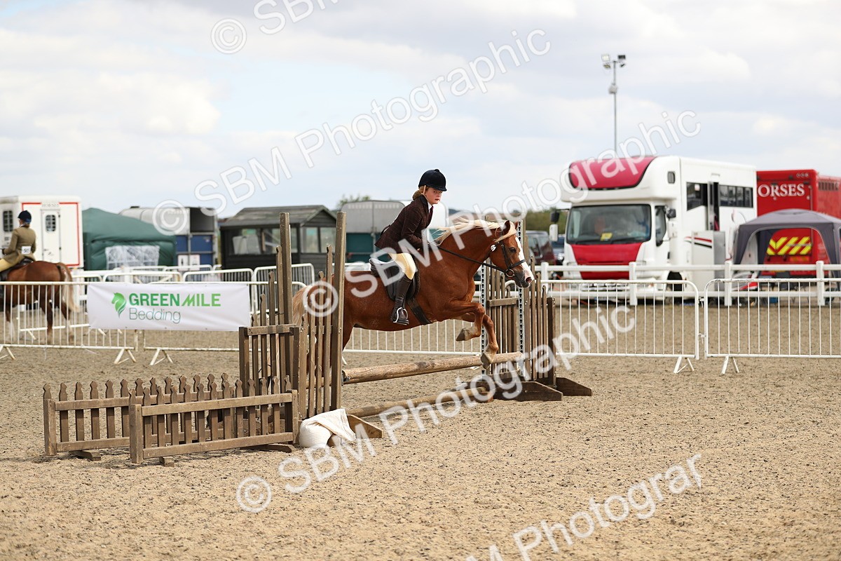 SBM_04741 - Class 46b Style & Performance 50cm (20+)