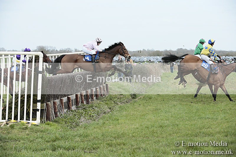 PtP 230319 186 - VWH Hunt Siddington Point-to-Point Racing 23/03/19