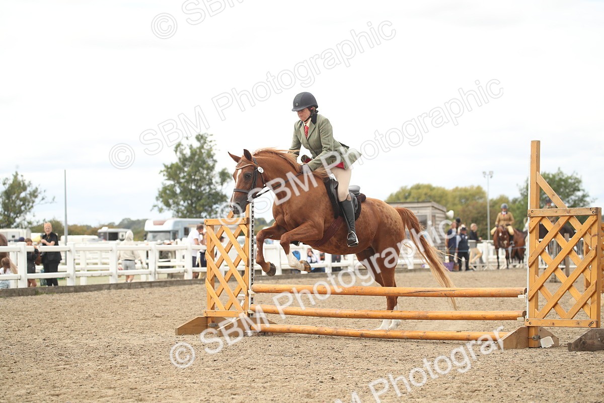 SBM_16757 - Class 507b - Working Veteran 60cm (20+)