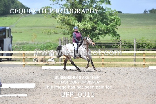 BPP_0315 - SHORT ARENA  MY QUEST PRELIM