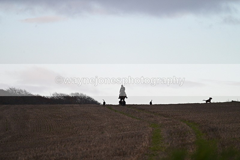 WJ7_9792 - Camera 1 & Last fence