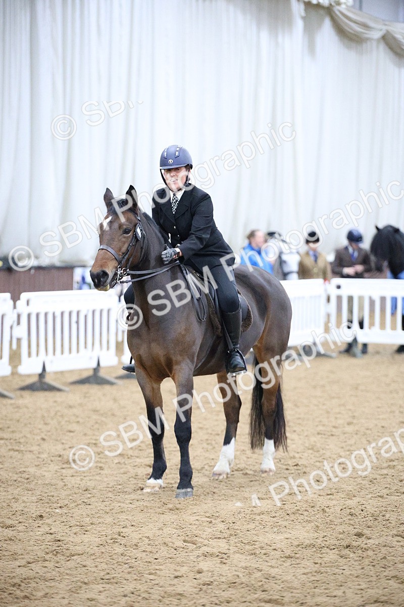 5K7A6101 - Class 48 - Ridden Mare