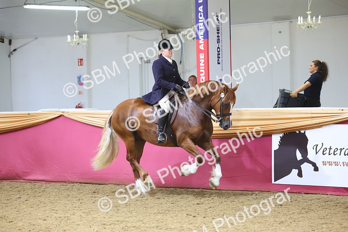 SBM_24931 - Supreme Final - Ridden Champion