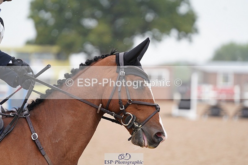 240901A-110546-06519 - 308-Tommy.Greengard-MBF.GOOGLE