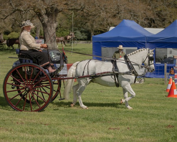 Attelage -820 - CIAT Glamis 2026