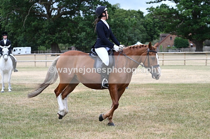 WJ7_0561 - Class 2 Best rider