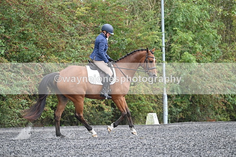 WJ7_4371 - Time 11:43 to 12:09