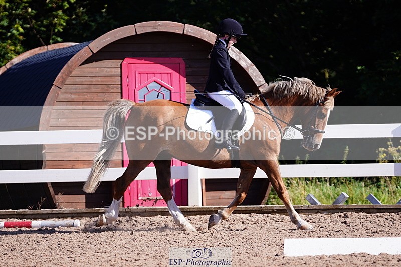 240809A-090926-00162 - Dressage Competition